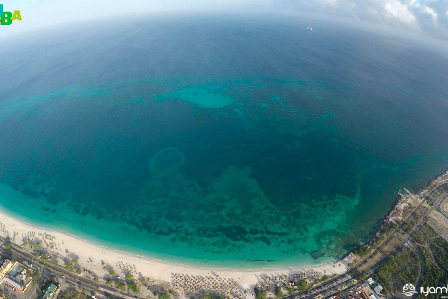 Aerea aruba con iyambaetur